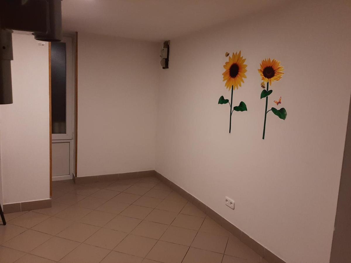 Apartman Vorosmarty Apartament Budapeszt Zewnętrze zdjęcie